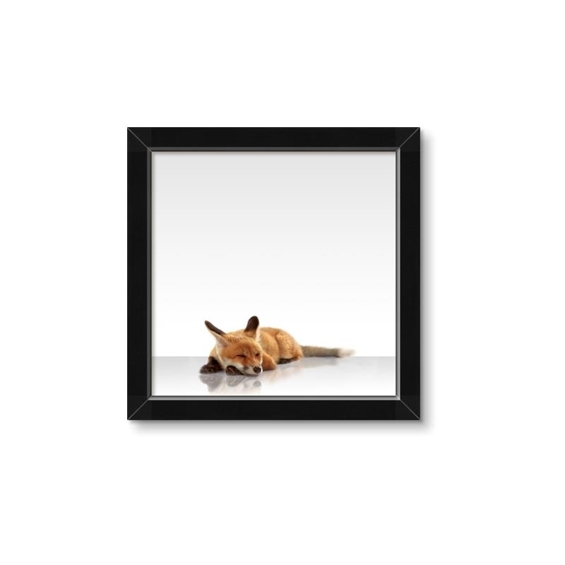 Picture of Singular Fox  _GroupedProduct_Square_Mini_ _GroupedProduct_Square_Framed_Matted_