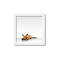 Picture of Singular Fox  _GroupedProduct_Square_Mini_ _GroupedProduct_Square_Framed_Matted_