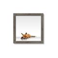 Picture of Singular Fox  _GroupedProduct_Square_Mini_ _GroupedProduct_Square_Framed_Matted_