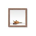 Picture of Singular Fox  _GroupedProduct_Square_Mini_ _GroupedProduct_Square_Framed_Matted_