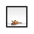 Picture of Singular Fox  _GroupedProduct_Square_Mini_ _GroupedProduct_Square_Framed_Matted_