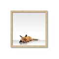 Picture of Singular Fox  _GroupedProduct_Square_Mini_ _GroupedProduct_Square_Framed_Matted_