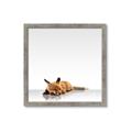 Picture of Singular Fox  _GroupedProduct_Square_Mini_ _GroupedProduct_Square_Framed_Matted_