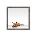 Picture of Singular Fox  _GroupedProduct_Square_Mini_ _GroupedProduct_Square_Framed_Matted_