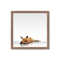 Picture of Singular Fox  _GroupedProduct_Square_Mini_ _GroupedProduct_Square_Framed_Matted_