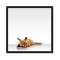 Picture of Singular Fox  _GroupedProduct_Square_Mini_ _GroupedProduct_Square_Framed_Matted_