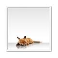 Picture of Singular Fox  _GroupedProduct_Square_Mini_ _GroupedProduct_Square_Framed_Matted_