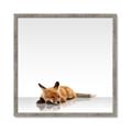 Picture of Singular Fox  _GroupedProduct_Square_Mini_ _GroupedProduct_Square_Framed_Matted_
