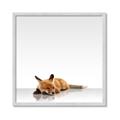 Picture of Singular Fox  _GroupedProduct_Square_Mini_ _GroupedProduct_Square_Framed_Matted_