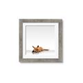 Picture of Singular Fox  _GroupedProduct_Square_Mini_ _GroupedProduct_Square_Framed_Matted_
