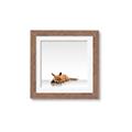 Picture of Singular Fox  _GroupedProduct_Square_Mini_ _GroupedProduct_Square_Framed_Matted_