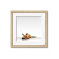 Picture of Singular Fox  _GroupedProduct_Square_Mini_ _GroupedProduct_Square_Framed_Matted_