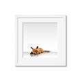 Picture of Singular Fox  _GroupedProduct_Square_Mini_ _GroupedProduct_Square_Framed_Matted_