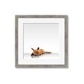 Picture of Singular Fox  _GroupedProduct_Square_Mini_ _GroupedProduct_Square_Framed_Matted_