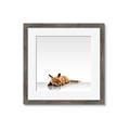 Picture of Singular Fox  _GroupedProduct_Square_Mini_ _GroupedProduct_Square_Framed_Matted_
