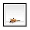 Picture of Singular Fox  _GroupedProduct_Square_Mini_ _GroupedProduct_Square_Framed_Matted_