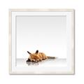 Picture of Singular Fox  _GroupedProduct_Square_Mini_ _GroupedProduct_Square_Framed_Matted_