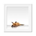 Picture of Singular Fox  _GroupedProduct_Square_Mini_ _GroupedProduct_Square_Framed_Matted_