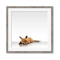 Picture of Singular Fox  _GroupedProduct_Square_Mini_ _GroupedProduct_Square_Framed_Matted_
