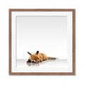 Picture of Singular Fox  _GroupedProduct_Square_Mini_ _GroupedProduct_Square_Framed_Matted_