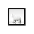 Picture of Singular Polar Bear _GroupedProduct_Square_Mini_ _GroupedProduct_Square_Framed_Matted_
