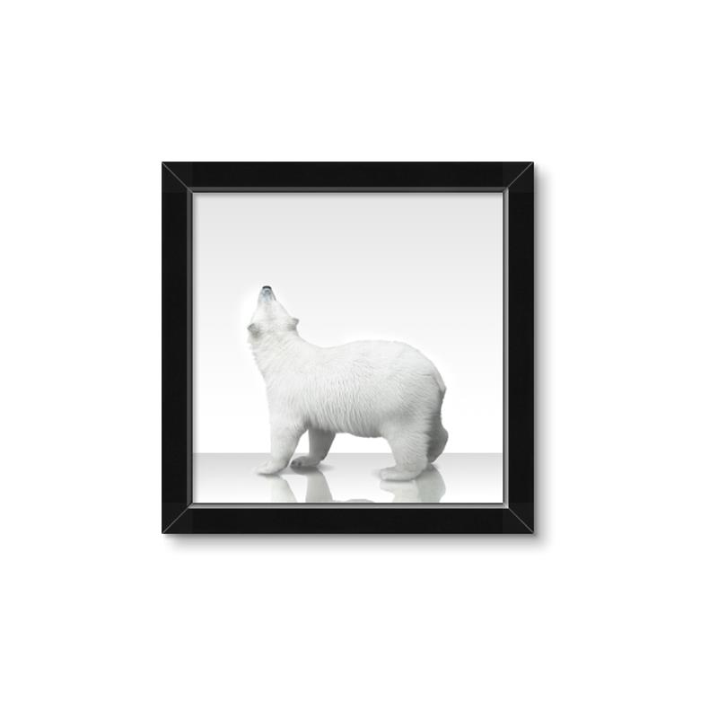Picture of Singular Polar Bear _GroupedProduct_Square_Mini_ _GroupedProduct_Square_Framed_Matted_