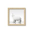 Picture of Singular Polar Bear _GroupedProduct_Square_Mini_ _GroupedProduct_Square_Framed_Matted_