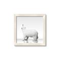 Picture of Singular Polar Bear _GroupedProduct_Square_Mini_ _GroupedProduct_Square_Framed_Matted_