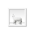 Picture of Singular Polar Bear _GroupedProduct_Square_Mini_ _GroupedProduct_Square_Framed_Matted_