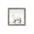 Picture of Singular Polar Bear _GroupedProduct_Square_Mini_ _GroupedProduct_Square_Framed_Matted_
