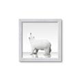 Picture of Singular Polar Bear _GroupedProduct_Square_Mini_ _GroupedProduct_Square_Framed_Matted_
