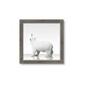 Picture of Singular Polar Bear _GroupedProduct_Square_Mini_ _GroupedProduct_Square_Framed_Matted_