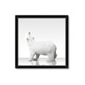 Picture of Singular Polar Bear _GroupedProduct_Square_Mini_ _GroupedProduct_Square_Framed_Matted_
