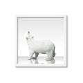 Picture of Singular Polar Bear _GroupedProduct_Square_Mini_ _GroupedProduct_Square_Framed_Matted_