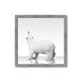 Picture of Singular Polar Bear _GroupedProduct_Square_Mini_ _GroupedProduct_Square_Framed_Matted_