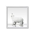 Picture of Singular Polar Bear _GroupedProduct_Square_Mini_ _GroupedProduct_Square_Framed_Matted_