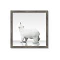 Picture of Singular Polar Bear _GroupedProduct_Square_Mini_ _GroupedProduct_Square_Framed_Matted_