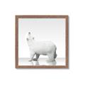 Picture of Singular Polar Bear _GroupedProduct_Square_Mini_ _GroupedProduct_Square_Framed_Matted_