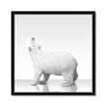 Picture of Singular Polar Bear _GroupedProduct_Square_Mini_ _GroupedProduct_Square_Framed_Matted_