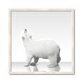 Picture of Singular Polar Bear _GroupedProduct_Square_Mini_ _GroupedProduct_Square_Framed_Matted_