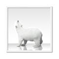 Picture of Singular Polar Bear _GroupedProduct_Square_Mini_ _GroupedProduct_Square_Framed_Matted_
