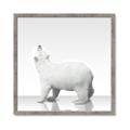Picture of Singular Polar Bear _GroupedProduct_Square_Mini_ _GroupedProduct_Square_Framed_Matted_