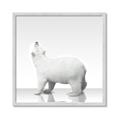 Picture of Singular Polar Bear _GroupedProduct_Square_Mini_ _GroupedProduct_Square_Framed_Matted_