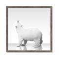 Picture of Singular Polar Bear _GroupedProduct_Square_Mini_ _GroupedProduct_Square_Framed_Matted_
