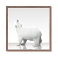 Picture of Singular Polar Bear _GroupedProduct_Square_Mini_ _GroupedProduct_Square_Framed_Matted_