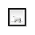 Picture of Singular Polar Bear _GroupedProduct_Square_Mini_ _GroupedProduct_Square_Framed_Matted_