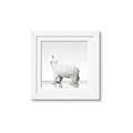 Picture of Singular Polar Bear _GroupedProduct_Square_Mini_ _GroupedProduct_Square_Framed_Matted_