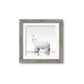 Picture of Singular Polar Bear _GroupedProduct_Square_Mini_ _GroupedProduct_Square_Framed_Matted_