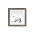 Picture of Singular Polar Bear _GroupedProduct_Square_Mini_ _GroupedProduct_Square_Framed_Matted_