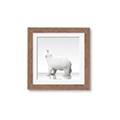 Picture of Singular Polar Bear _GroupedProduct_Square_Mini_ _GroupedProduct_Square_Framed_Matted_